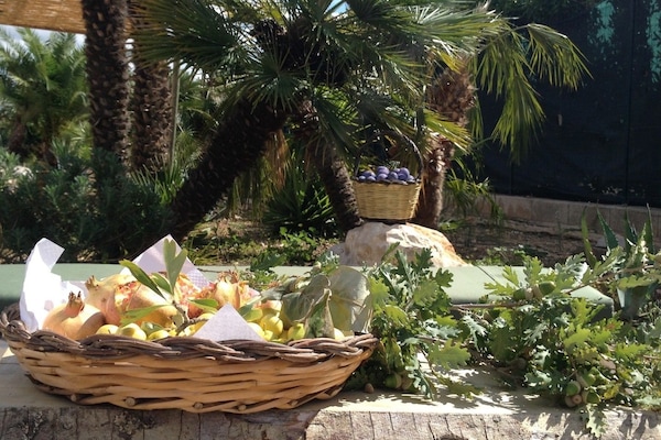 Zona a l'aire lliure per a la celebració de banquets