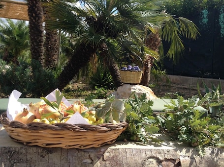 Outdoor banquet area