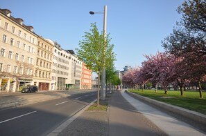A wide urban street with buildings on one side and a tree-lined sidewalk on the other.