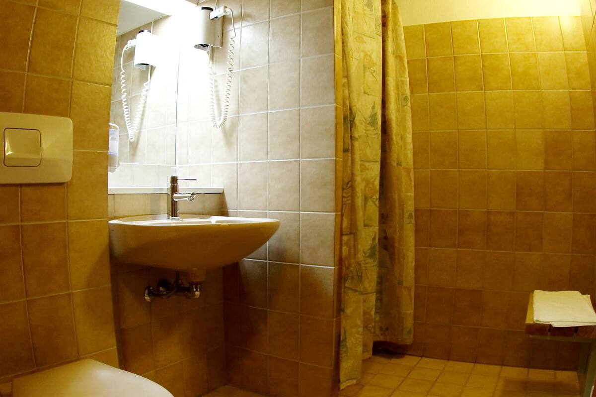 shower, free toiletries, hair dryer, towels