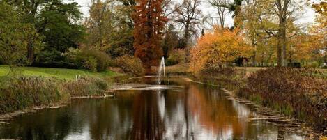 A tranquil pond surrounded by trees with autumn foliage, reflecting the sky and trees.