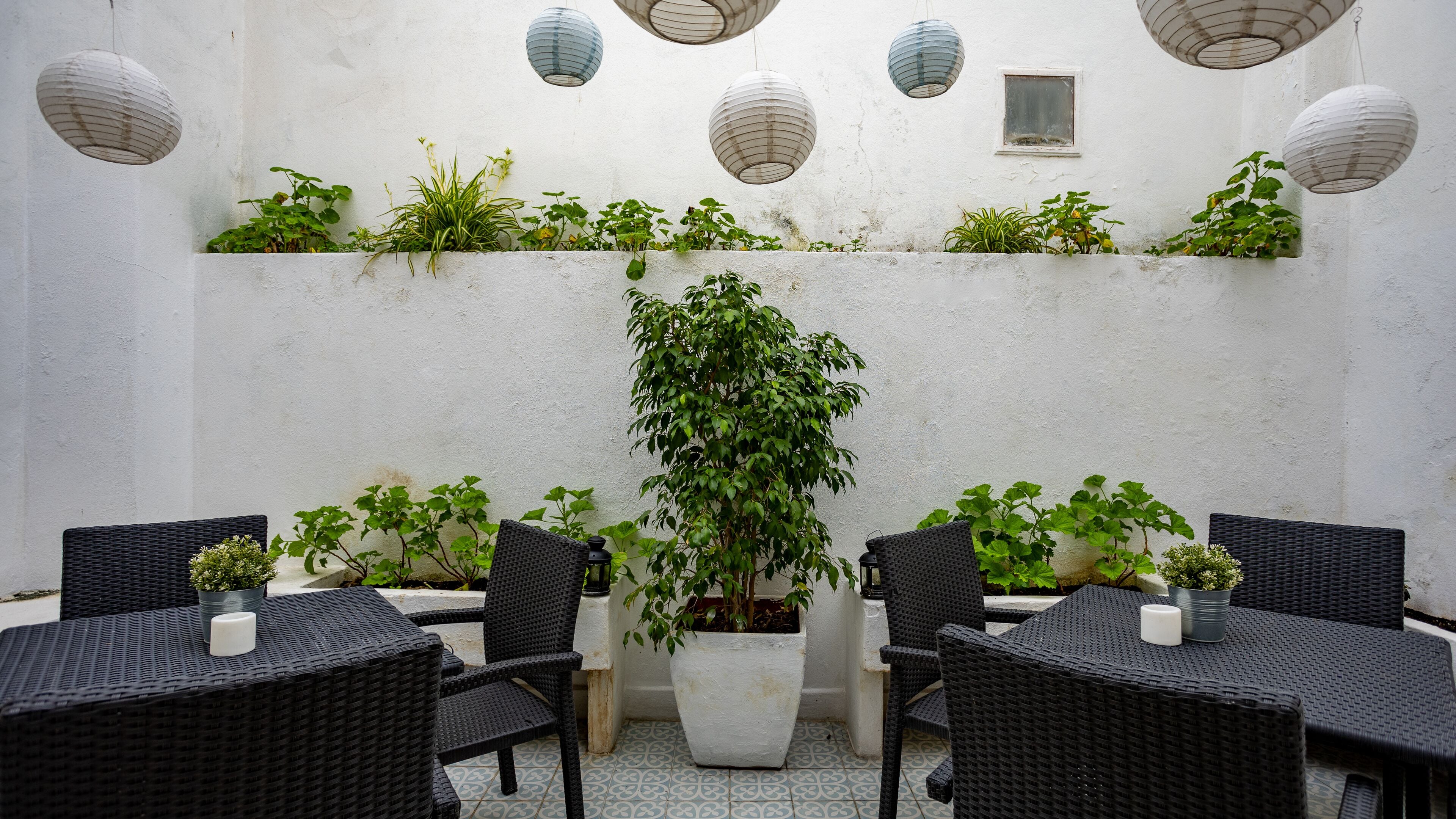 Foto - Hostel Casa d'Alagoa