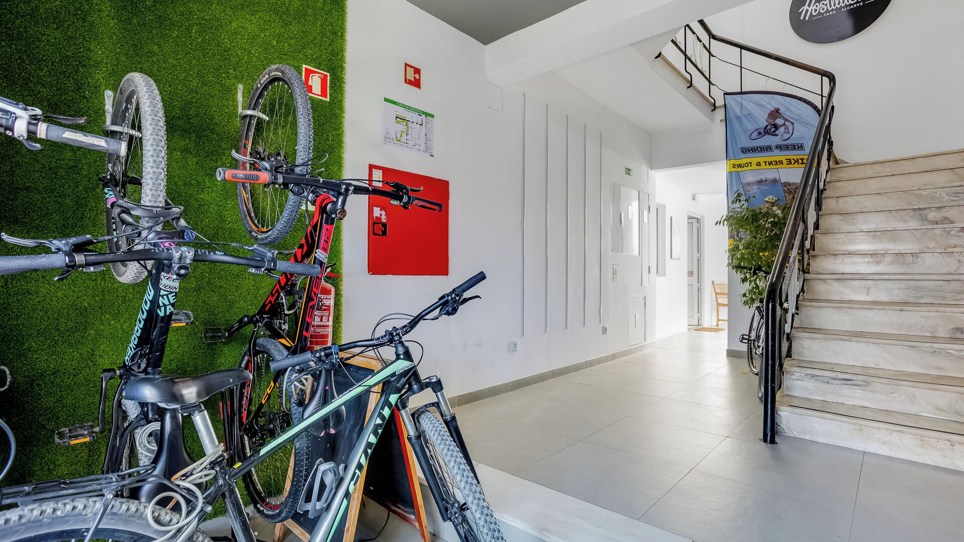 Foto - Hostellicious