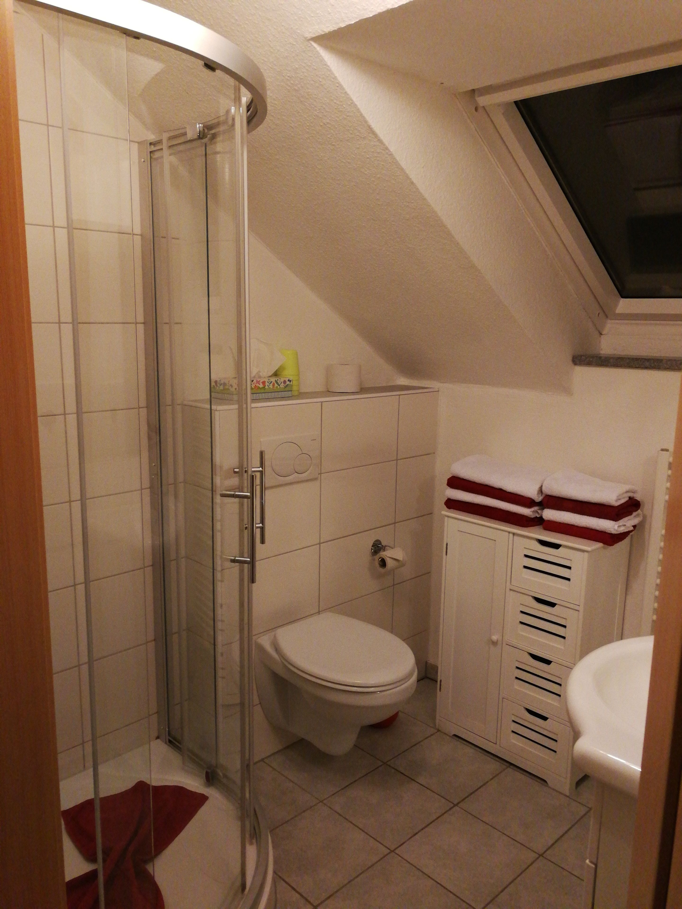 A small bathroom with a glass shower enclosure, a toilet, and a sink.