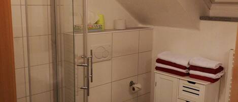 A small bathroom with a glass shower enclosure, a toilet, and a sink.