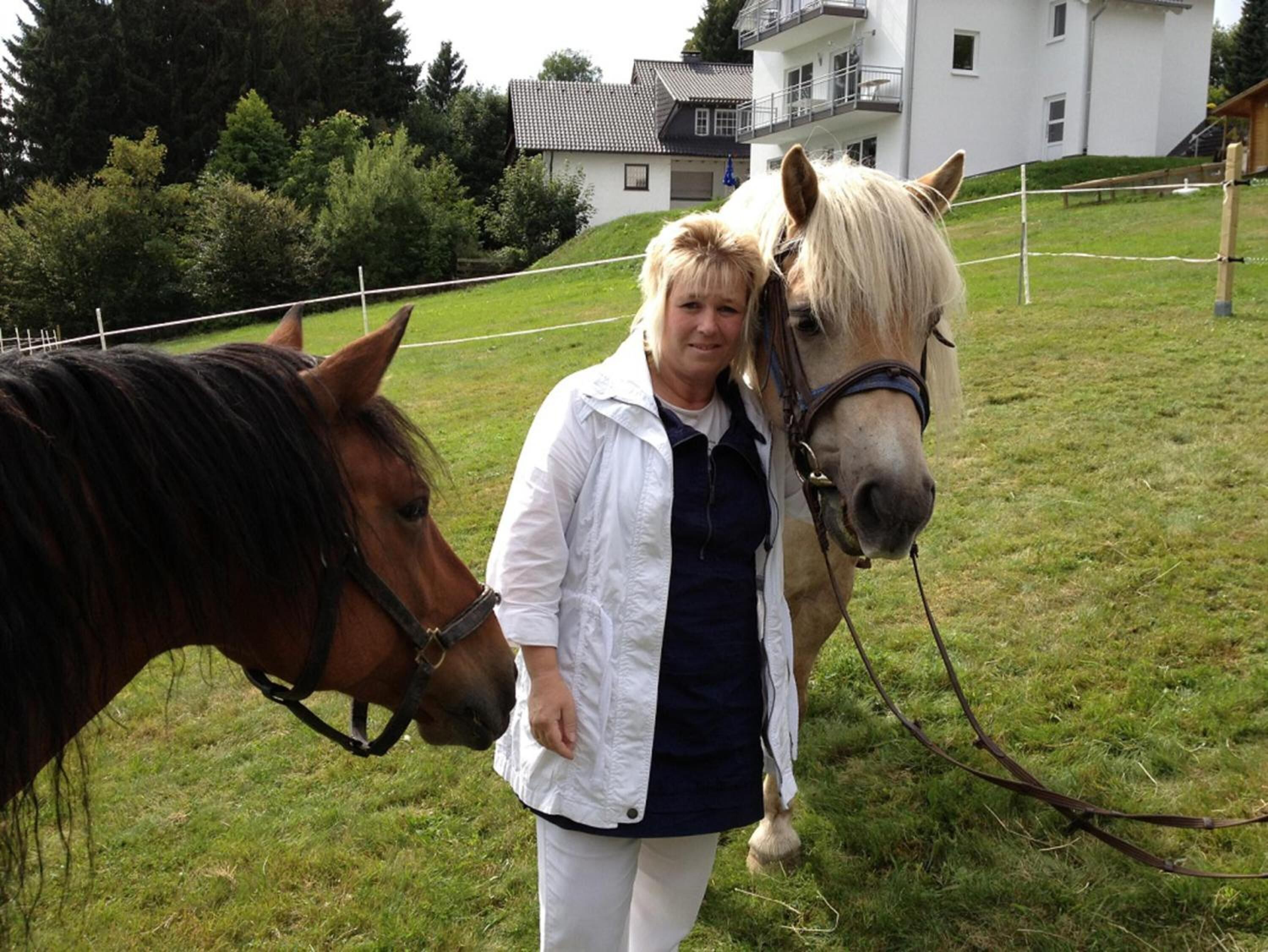 Eine Person steht neben einem Pferd auf einer Wiese, im Hintergrund ein weißes Gebäude.