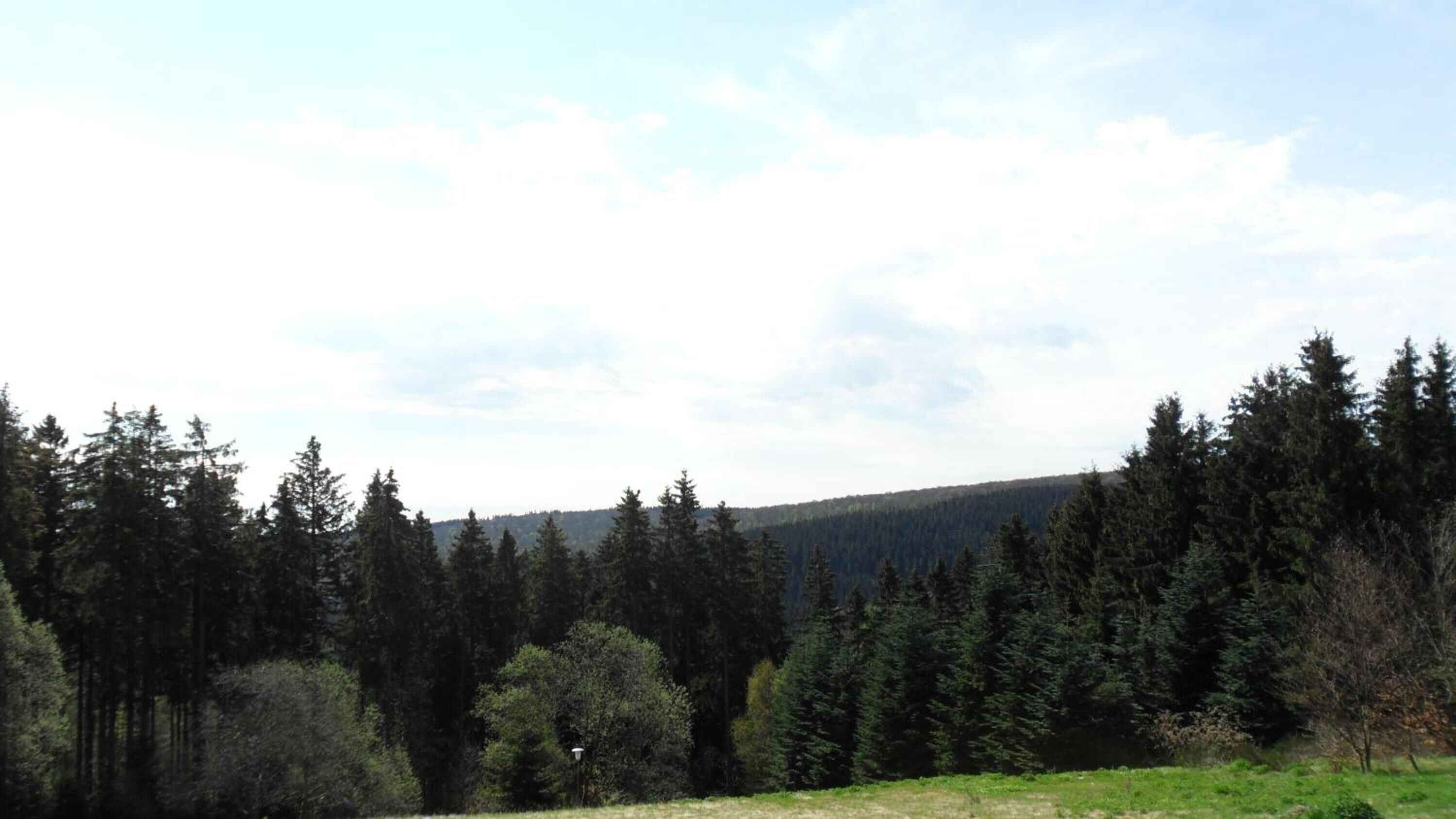 A forested landscape with a clear sky.