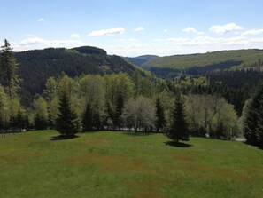 Standard Apartment, 1 Bedroom (2-Raumappartment) | View from room