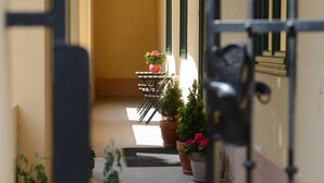 Un pasillo con plantas en macetas y una puerta de metal.