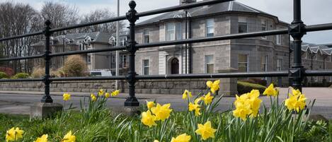 A stone building with a traditional architectural style, a metal fence in the foreground, and yellow daffodils in the foreground.