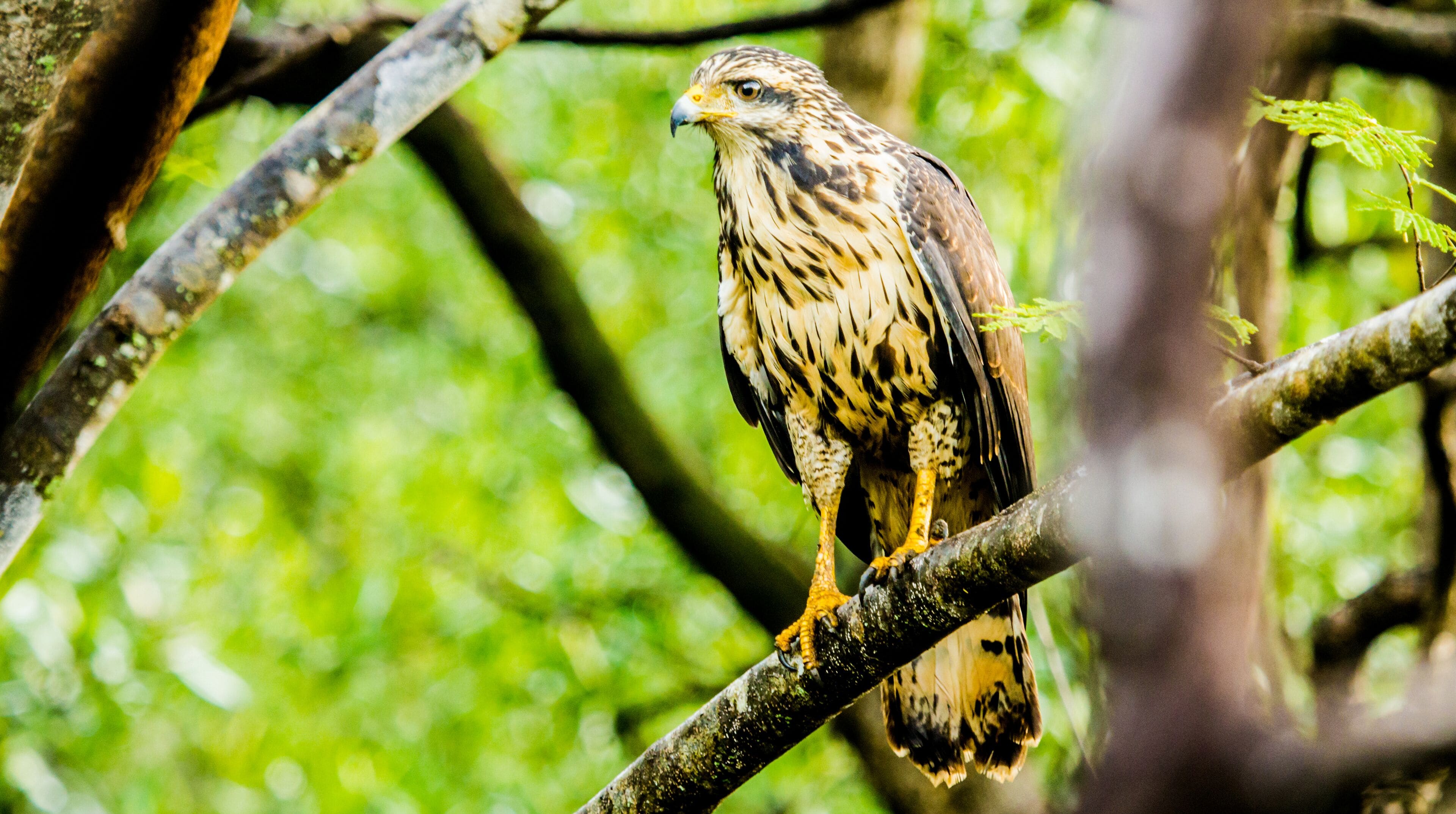land view from property