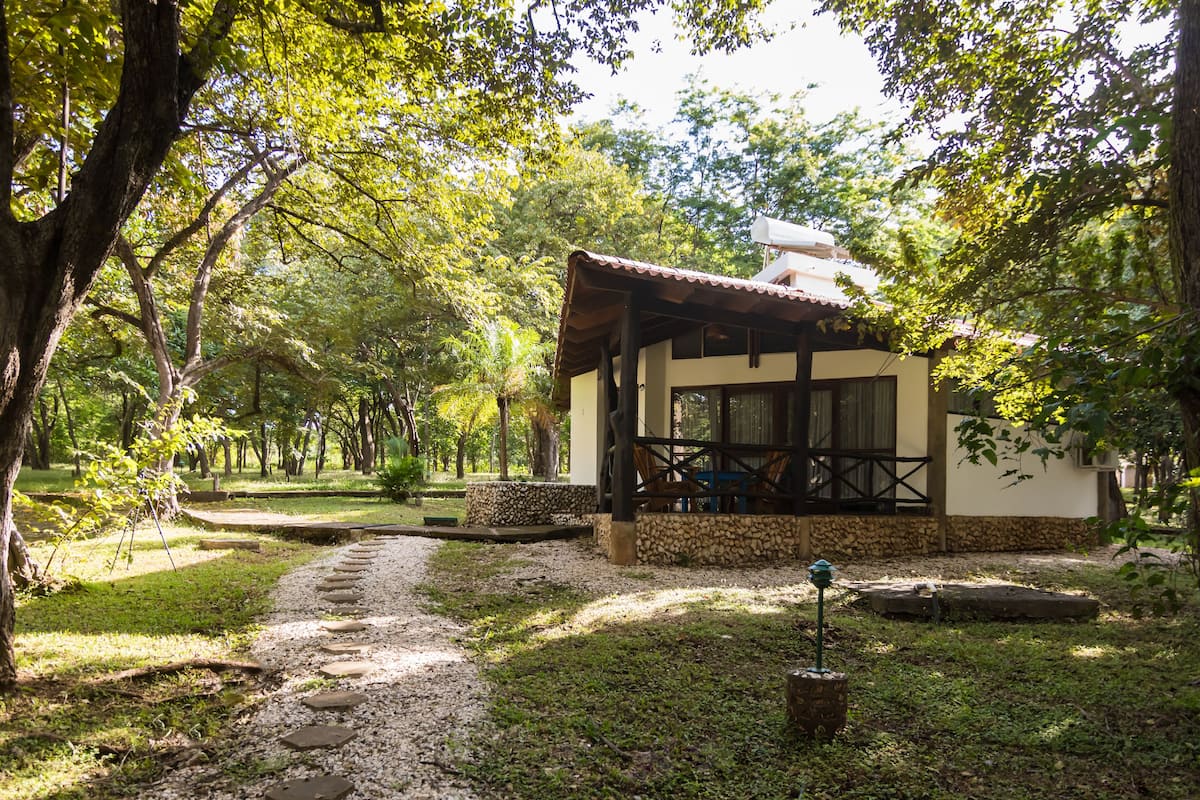 A rustic cabin with a stone pathway leading to it, surrounded by lush greenery and trees.