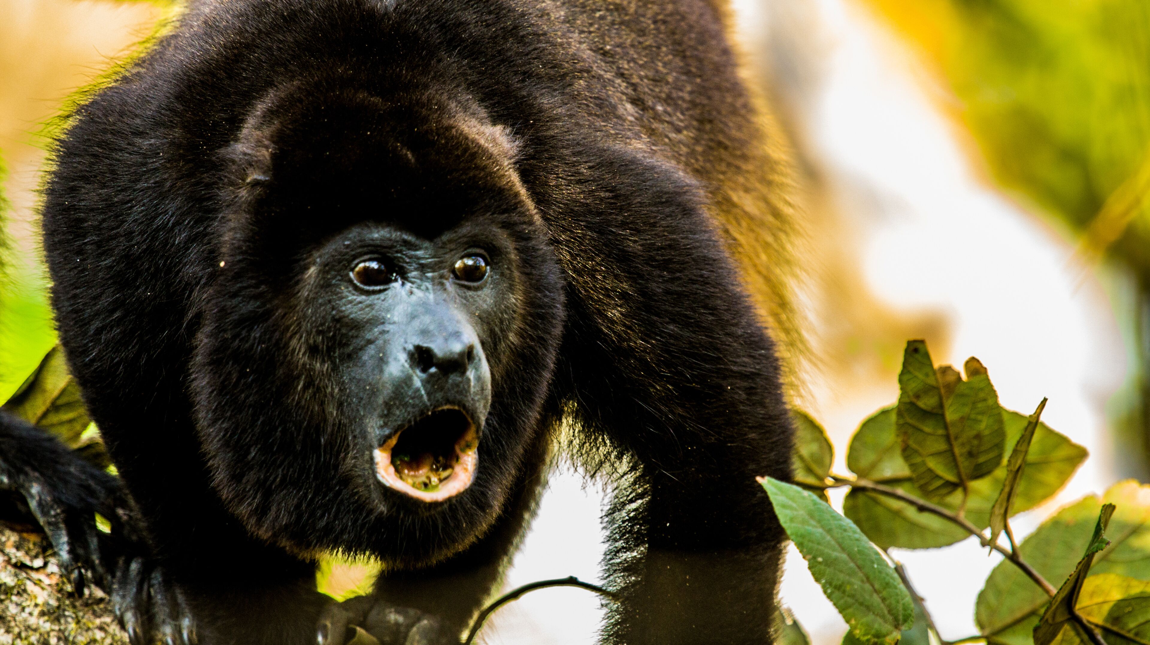 land view from property