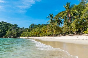 Beach - Buena Vista Beach Villas (Manuel Antonio)
