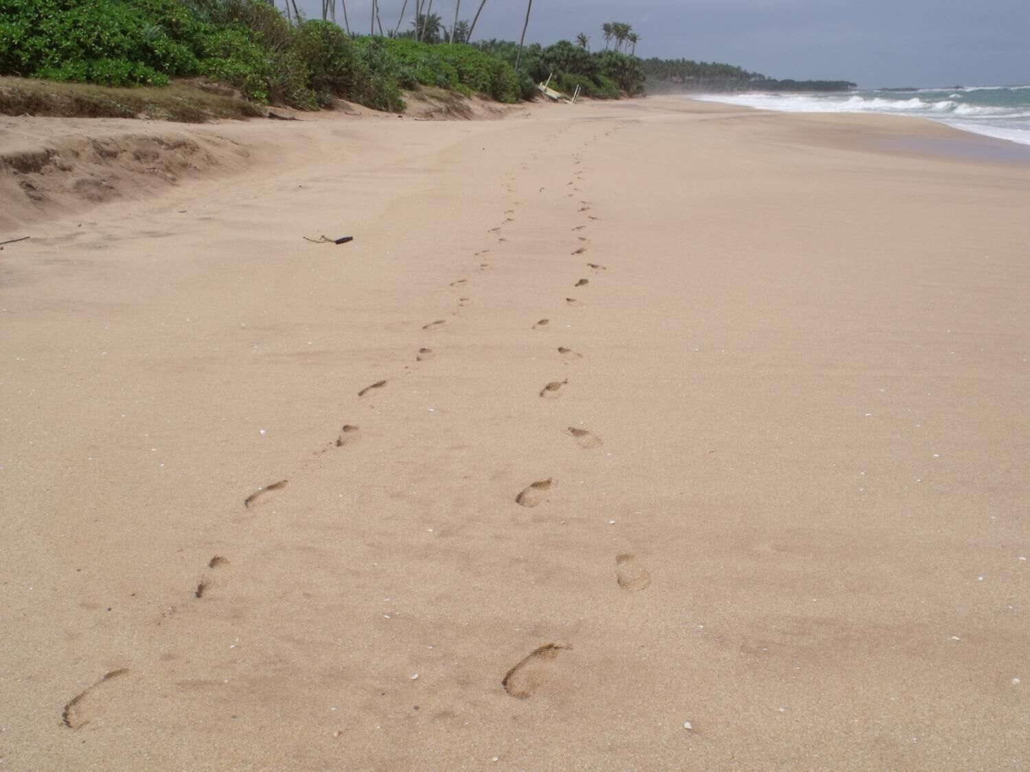 بالقرب من الشاطئ، حافلة نقل من وإلى الشاطئ مجانًا