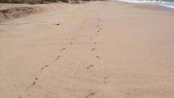 Playa en los alrededores y traslado desde/hacia la playa gratis