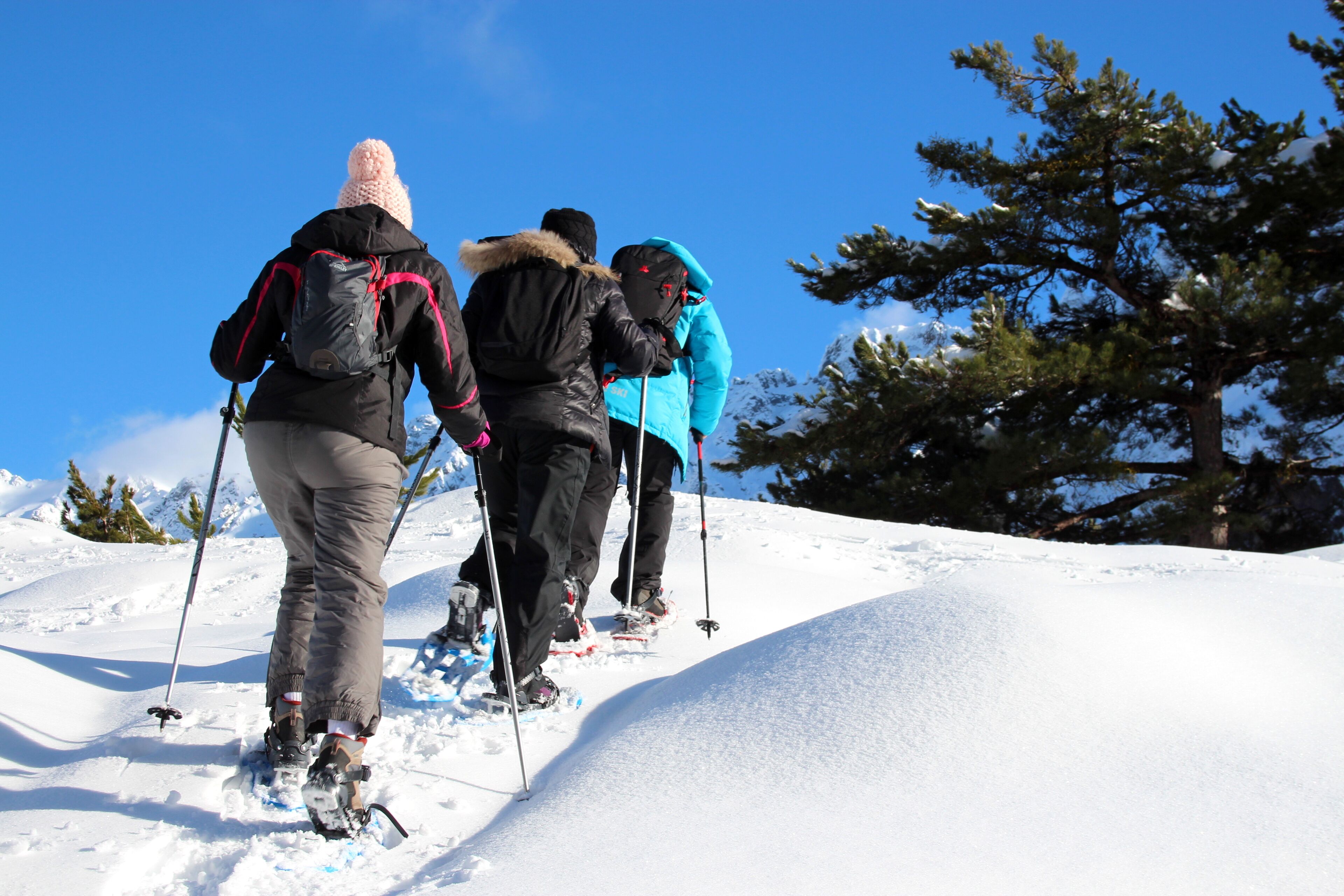 A group of people skiing on a snowy slope with trees in the background.