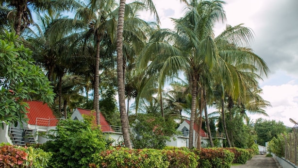 Cottage | View from room - V Resorts Anandvan Wai (Wai)