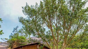 Exterior - V Resorts Krishna Welang (Wai)