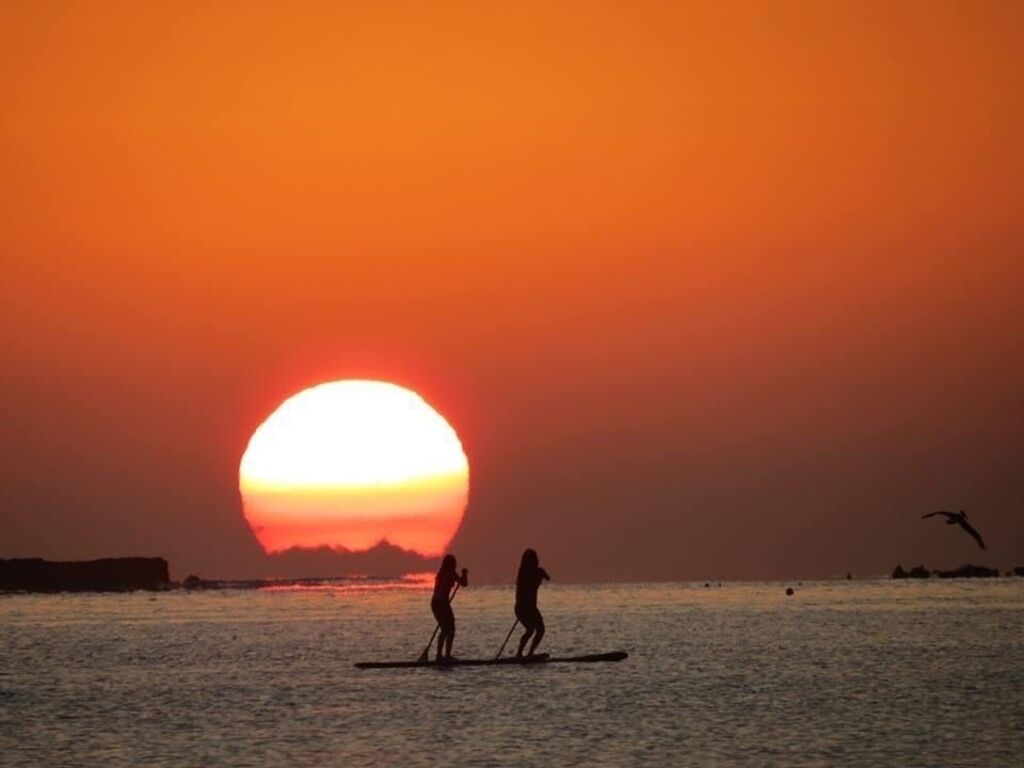 A sunset over a body of water with two people paddleboarding.
