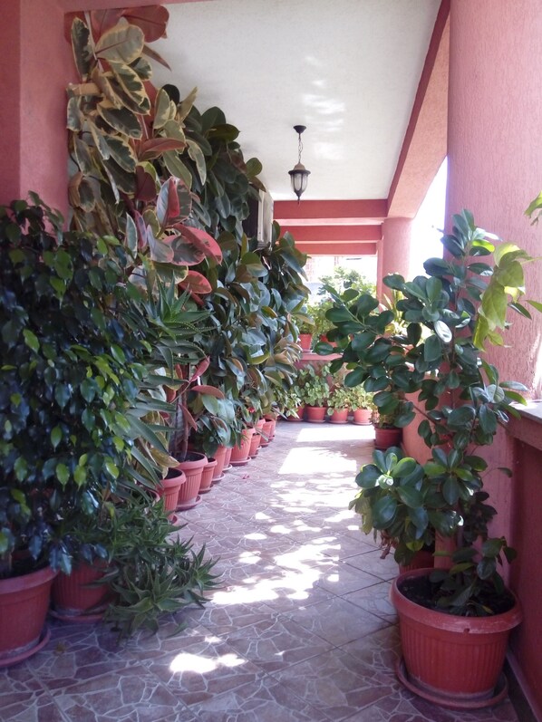 Exterior detail - Guesthouse Mediha Nikicic (Bar)