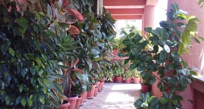 Guesthouse Mediha Nikicic