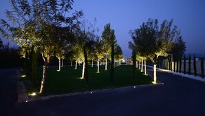 A tree-lined street at dusk with streetlights illuminating the trees and a building in the background. - X Hotel (Saviano)