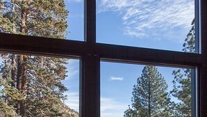 A window with a view of tall trees and a road. - Monache, Mammoth Village, Luxury Studio (Mammoth Lakes)