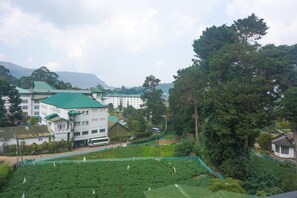 A large building with a green roof, surrounded by lush greenery and trees.