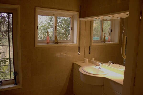 Un baño con lavamanos, espejo y dos ventanas con jarrones.