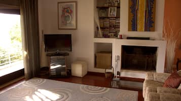 TV, fireplace, DVD player, ping pong