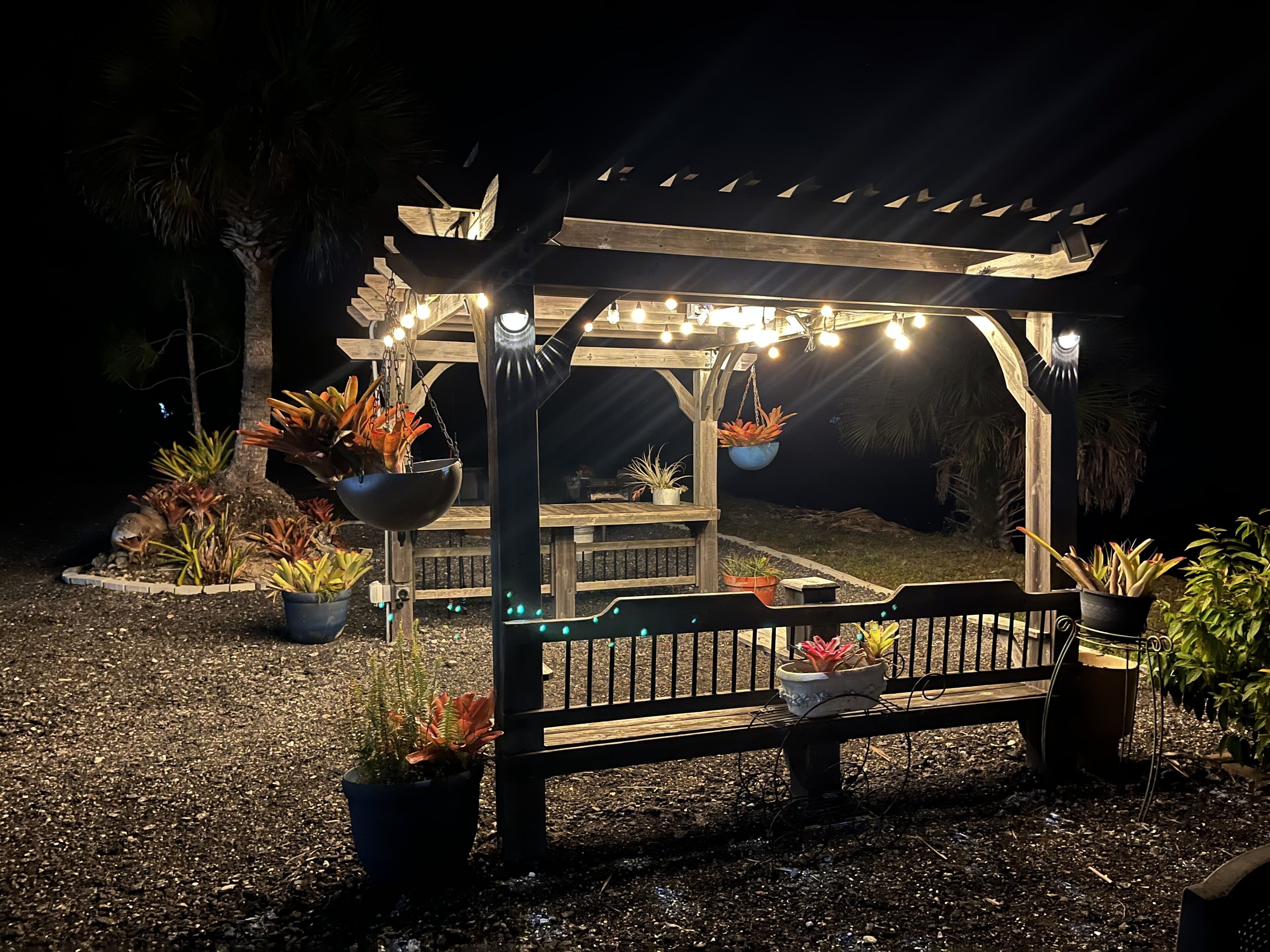 A wooden pergola with hanging plants and string lights, surrounded by potted plants and a bench.