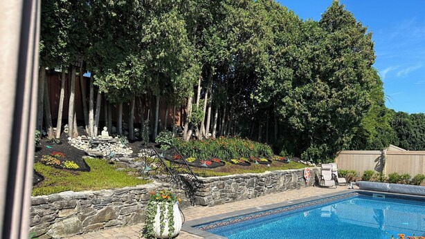 Una piscina con borde de piedra, rodeada por un jardín con diversas plantas y flores, y una cerca de madera al fondo.