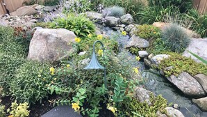 Un jardín con un pequeño arroyo, rocas y diversas plantas.