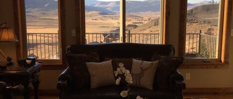 Smart TV, fireplace, DVD player, books