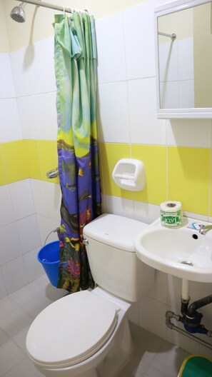 Shower, free toiletries, hair dryer, towels