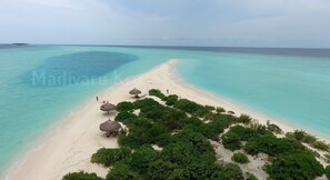 Trên bãi biển, lặn có bình dưỡng khí