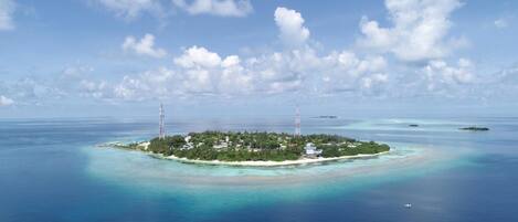 Plage, plongée sous-marine