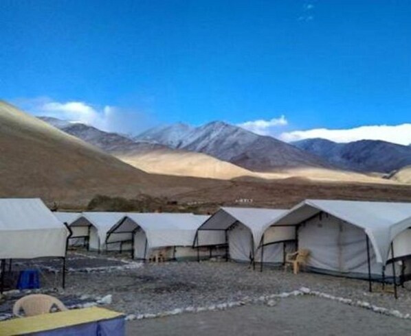 Deluxe Double or Twin Room, 1 Queen Bed | View from room - Wonderland Tourist Camp (Leh)
