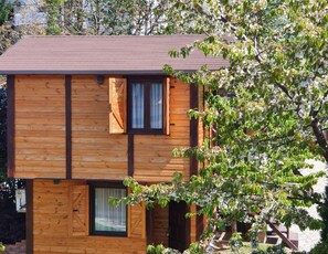 A wooden cabin with a sloped roof, two windows with shutters, and a visible door.
