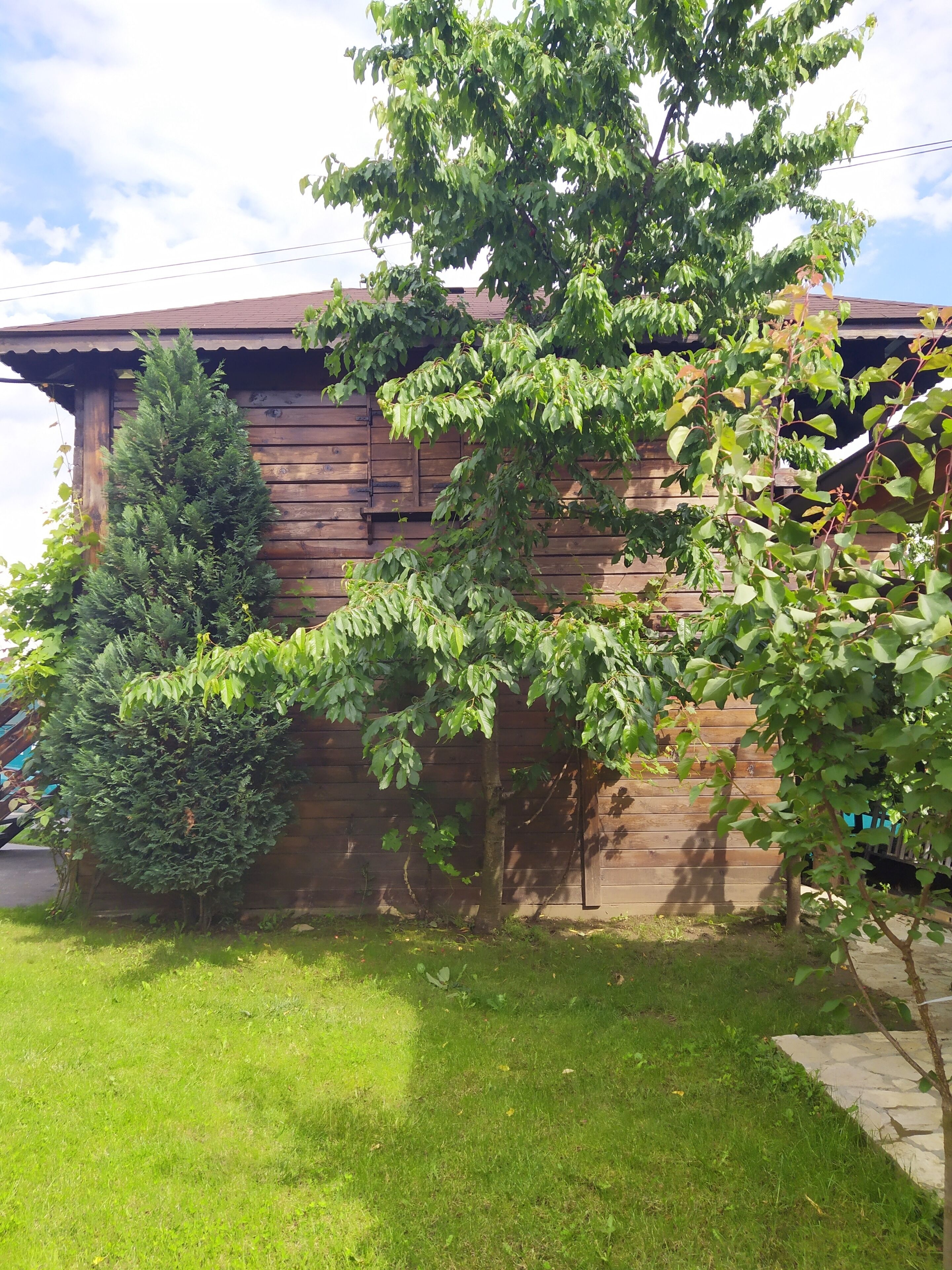 Foto - Rooms Green Set