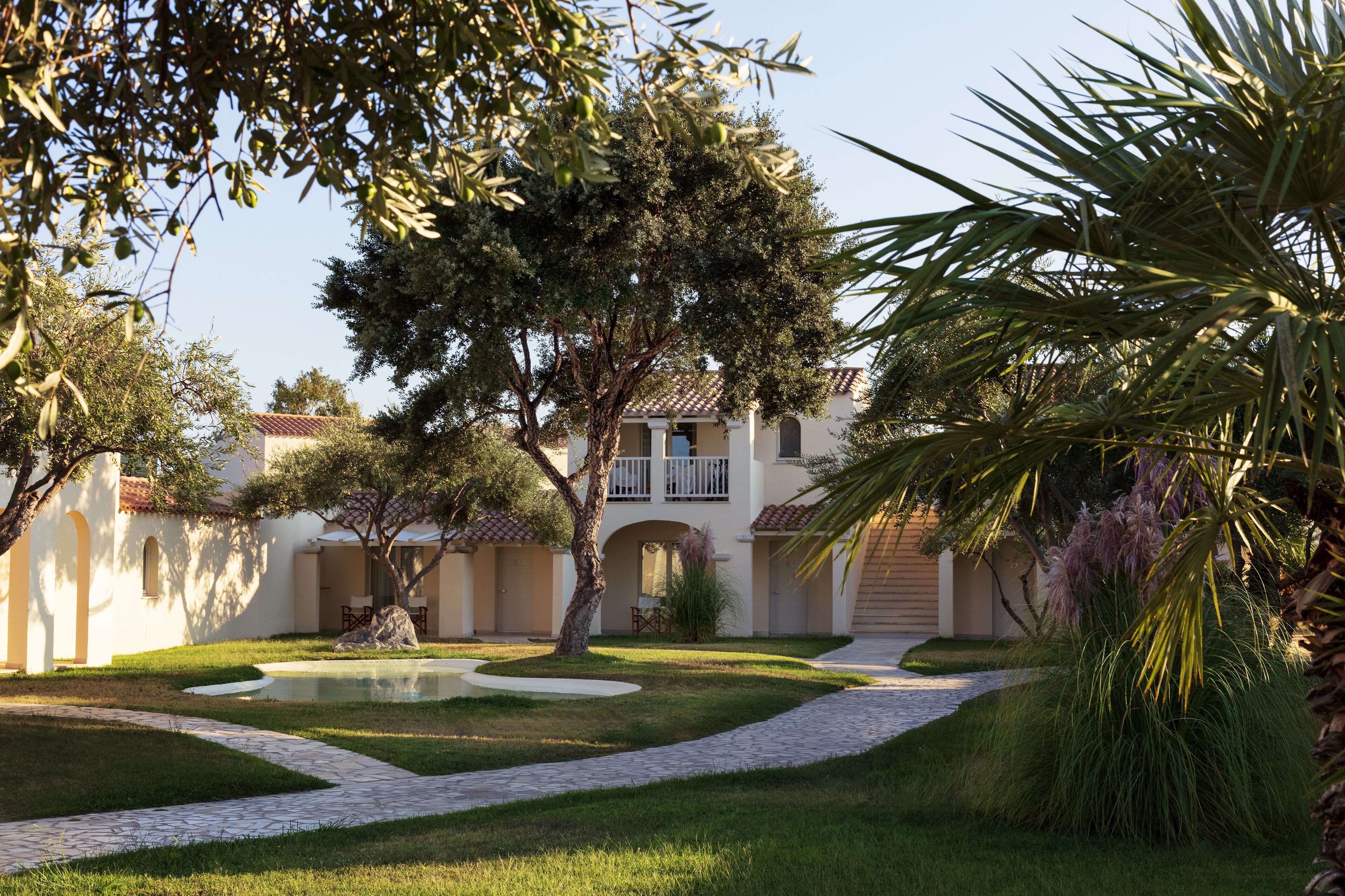 Um pátio com uma palmeira, uma pequena piscina e um edifício com telhado de azulejos.