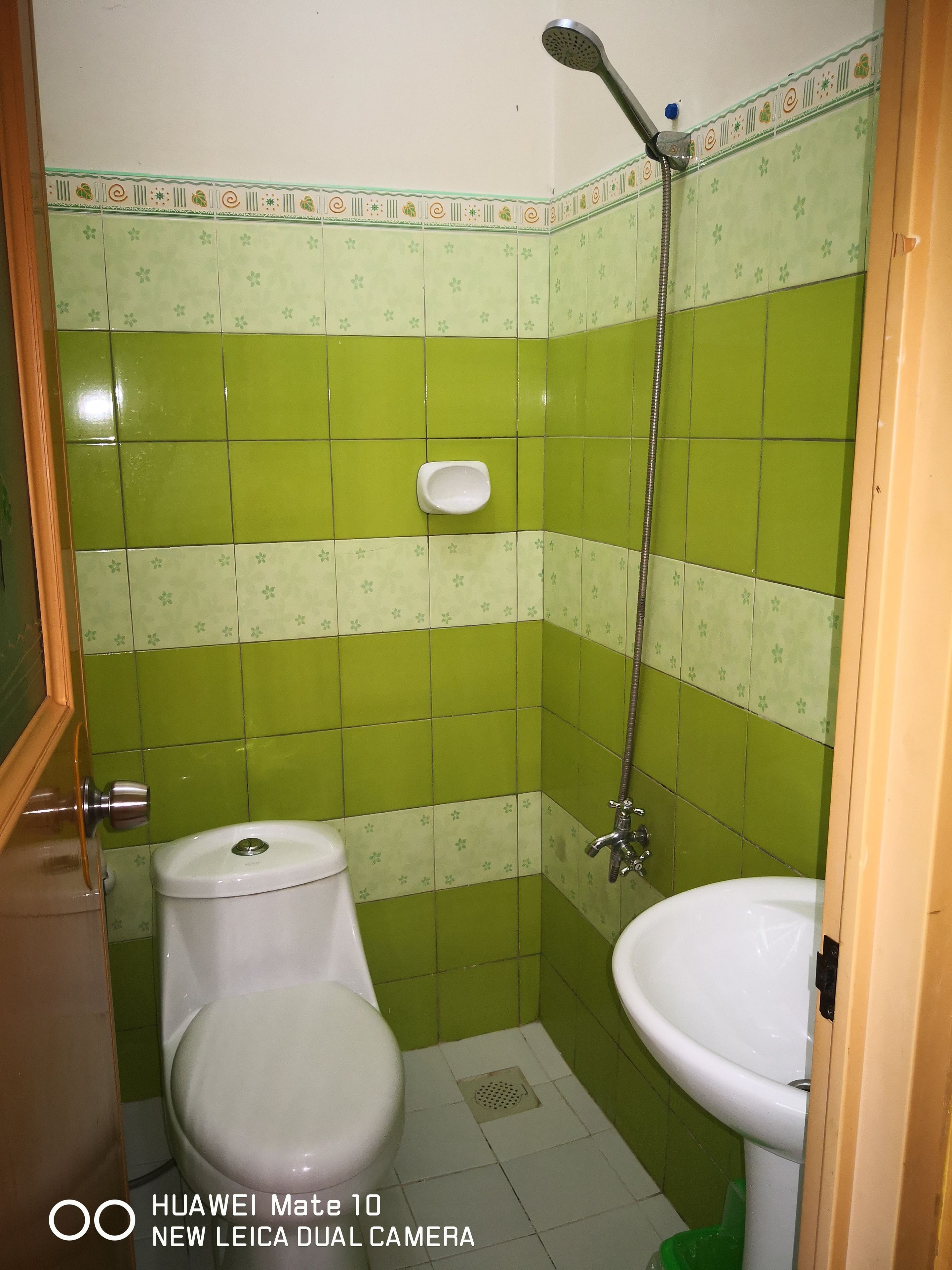 A bathroom with green and white tiles, a toilet, a sink, and a shower.
