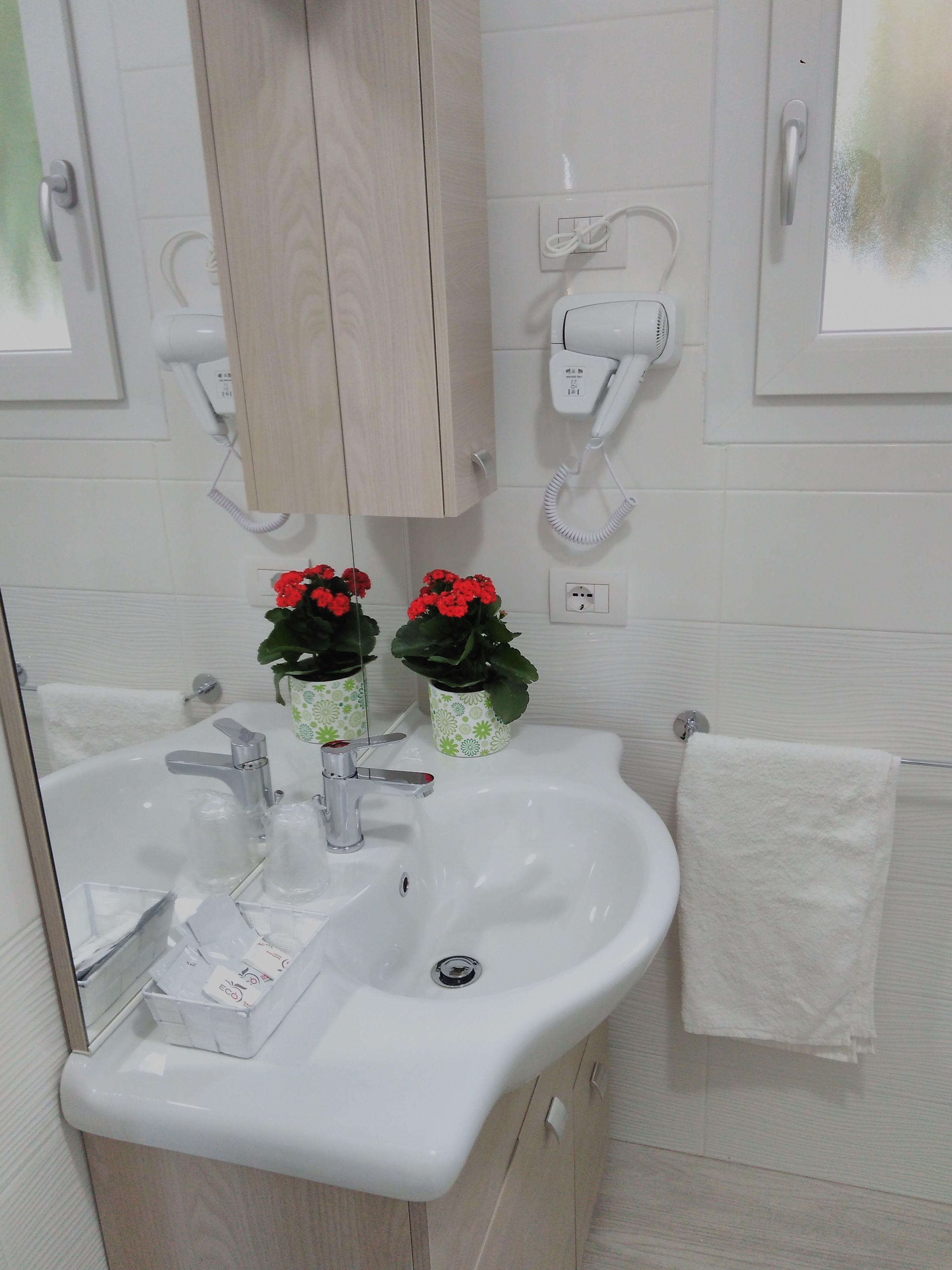 A bathroom with a sink, two hair dryers, and two potted plants with red flowers.