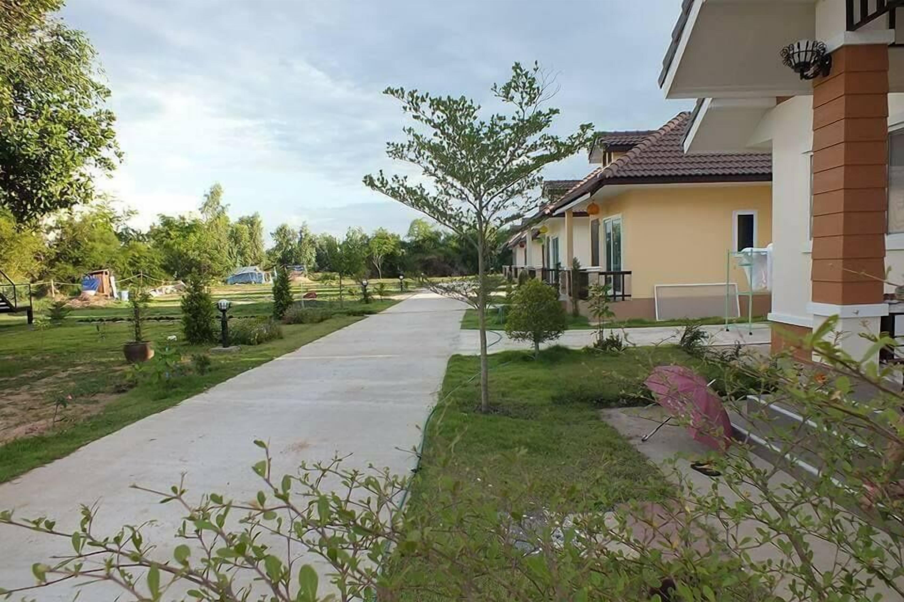 A residential area with a paved pathway leading to a row of houses.