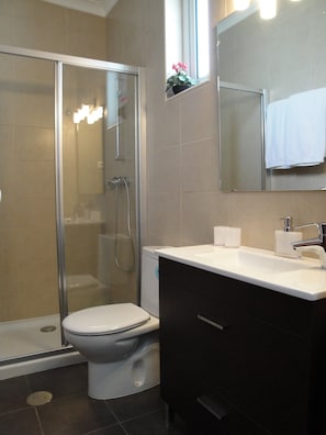 Shower, hair dryer, towels, soap