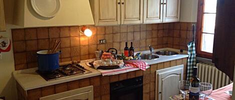 Fridge, oven, stovetop, cookware/dishes/utensils