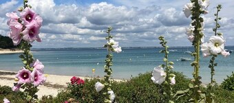 New south-facing seafront apartment (classified 3*) in a secure residence