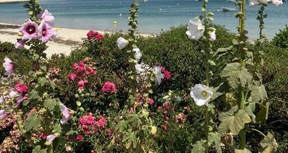 Neue Wohnung in SĂŒdlage im Meer in einer sicheren Residenz - WiFi