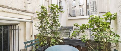 A courtyard with a round table and chairs, surrounded by potted plants and a metal fence.